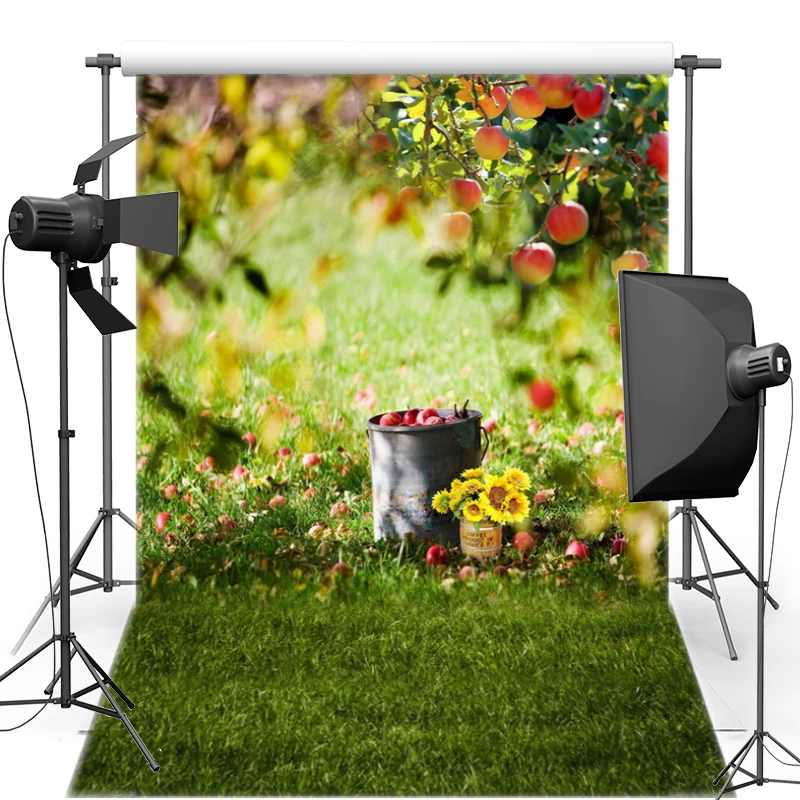 Fruit Tree Vinyl cloth Photography Background For Newborn Lawn New Fabric Flannel Backdrops For Children photo studio S2122
Fruit Tree Vinyl cloth Photography Background For Newborn Lawn New Fabric Flannel Backdrops For Children photo studio S2122