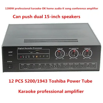 KA200U amplifier 2.0 channel stereo 5200/1943 power tube professional karaoke OK home audio K song conference 1200W AV amplifie
KA200U amplifier 2.0 channel stereo 5200/1943 power tube professional karaoke OK home audio K song conference 1200W AV amplifie