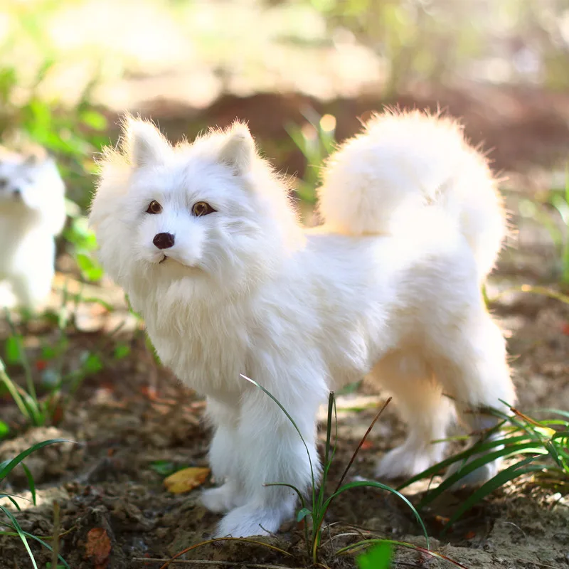 ZILIN Simulated Samoyed Dog Lovely Dog Toy Adorable Children Dog Toy GF Gift 27*10*23 cm
ZILIN Simulated Samoyed Dog Lovely Dog Toy Adorable Children Dog Toy GF Gift 27*10*23 cm