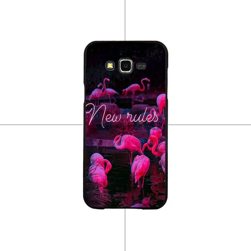 Flamingos Flowers