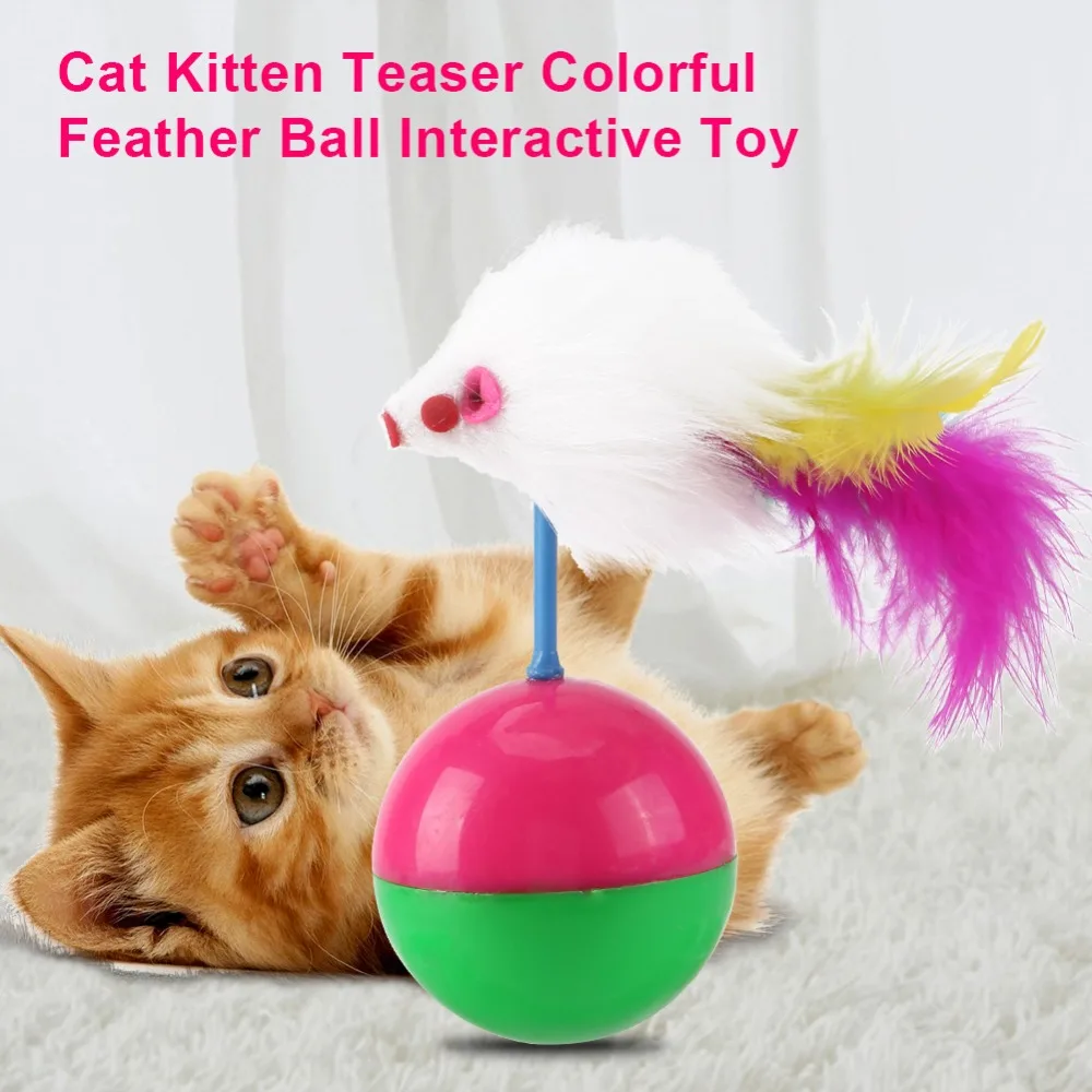 Pet Cat Kitten Teasing Toy Teaser Colorful Feather Ball Funny Interactive Toy Play Game
Pet Cat Kitten Teasing Toy Teaser Colorful Feather Ball Funny Interactive Toy Play Game