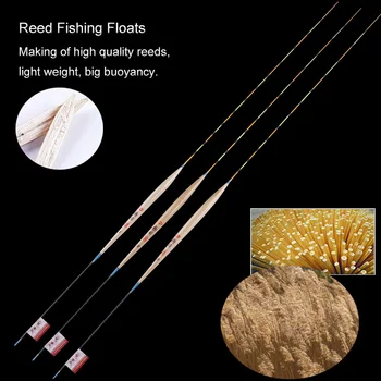 2019 Brand New Reed Fishing Float Crucian Preferred Flotteur Pesca Long Shape Stoppers Bobbers Fishing Accessories Tools Tackles
2019 Brand New Reed Fishing Float Crucian Preferred Flotteur Pesca Long Shape Stoppers Bobbers Fishing Accessories Tools Tackles