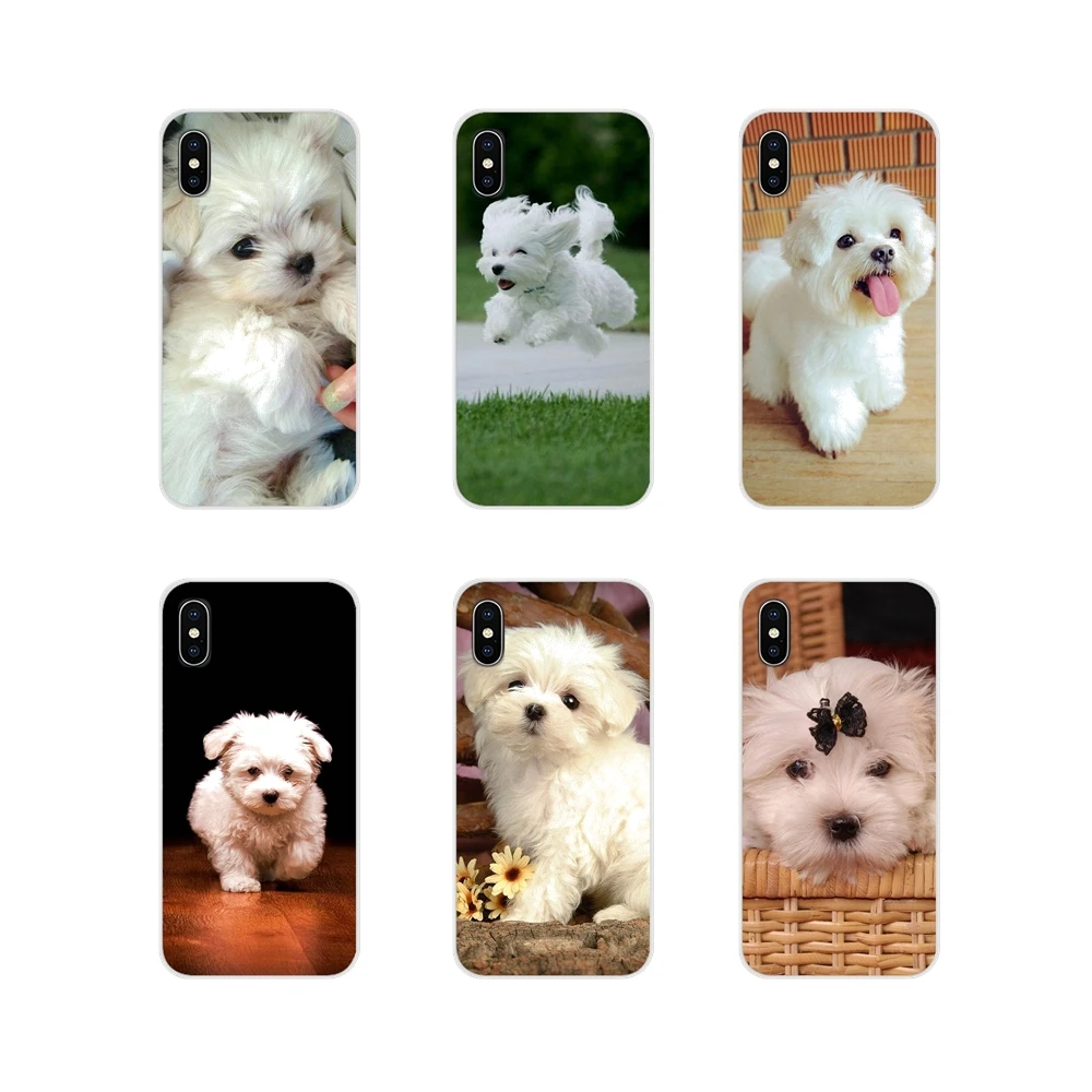 For Huawei G7 G8 P7 P8 P9 P10 P20 P30 Lite Mini Pro P Smart Plus 2017 2018 2019 White Maltese Puppies Dog Cell Phone Case Covers
For Huawei G7 G8 P7 P8 P9 P10 P20 P30 Lite Mini Pro P Smart Plus 2017 2018 2019 White Maltese Puppies Dog Cell Phone Case Covers