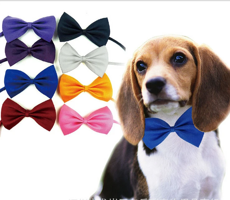 Free shipping 500 piece Adjustable Dog Cat bow tie neck tie pet dog bow tie puppy bows pet bow tie different colors supply
Free shipping 500 piece Adjustable Dog Cat bow tie neck tie pet dog bow tie puppy bows pet bow tie different colors supply