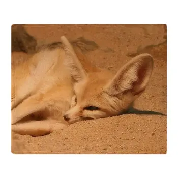 Fennec Fox Soft Fleece Throw Blanket Solid 350G Thicker Blankets on Sofa/Bed Throw Blanket
Fennec Fox Soft Fleece Throw Blanket Solid 350G Thicker Blankets on Sofa/Bed Throw Blanket