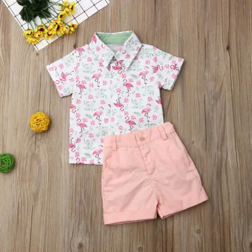 Summer Toddler Baby Kids Boy Flamingo Shirts Tops+Pink Shorts Sets Gentleman Outfits Clothes 2PCS Short Sleeves Sunsuits
Summer Toddler Baby Kids Boy Flamingo Shirts Tops+Pink Shorts Sets Gentleman Outfits Clothes 2PCS Short Sleeves Sunsuits