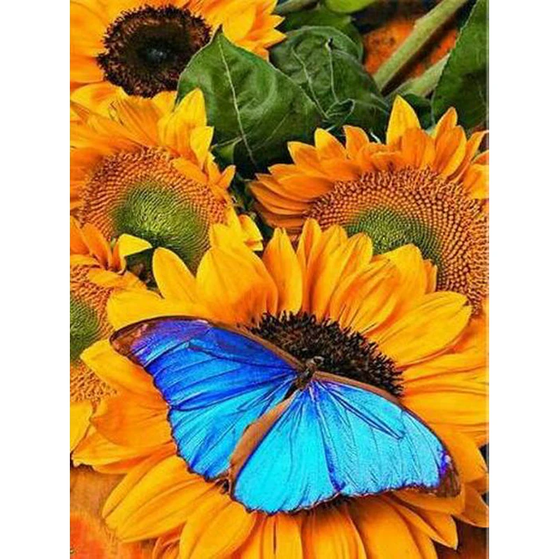K002 YIKEE Butterfly diamond painting,diamond painting colorful,full square diamond painting
K002 YIKEE Butterfly diamond painting,diamond painting colorful,full square diamond painting
