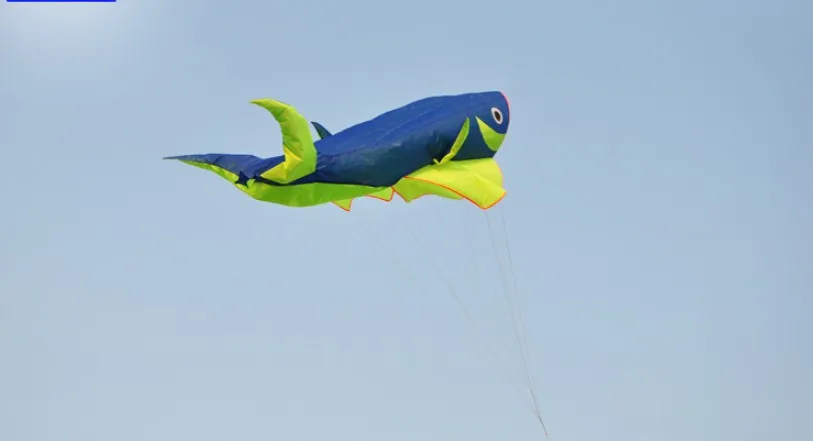 toy 3d whale vlieger ripstop soft large cometa cerf volant Single line kite flying windsock pipas brinquedo ar livre atacado bar
toy 3d whale vlieger ripstop soft large cometa cerf volant Single line kite flying windsock pipas brinquedo ar livre atacado bar