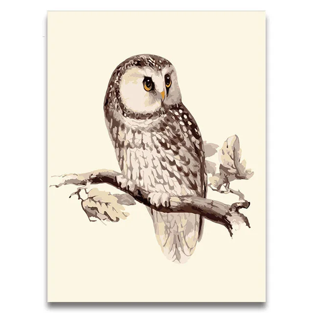 Owl-on-a-branch-Animal-picture-diy-Painting-By-Numbers-with-package-draw-on-canvas-for.jpg_640x640