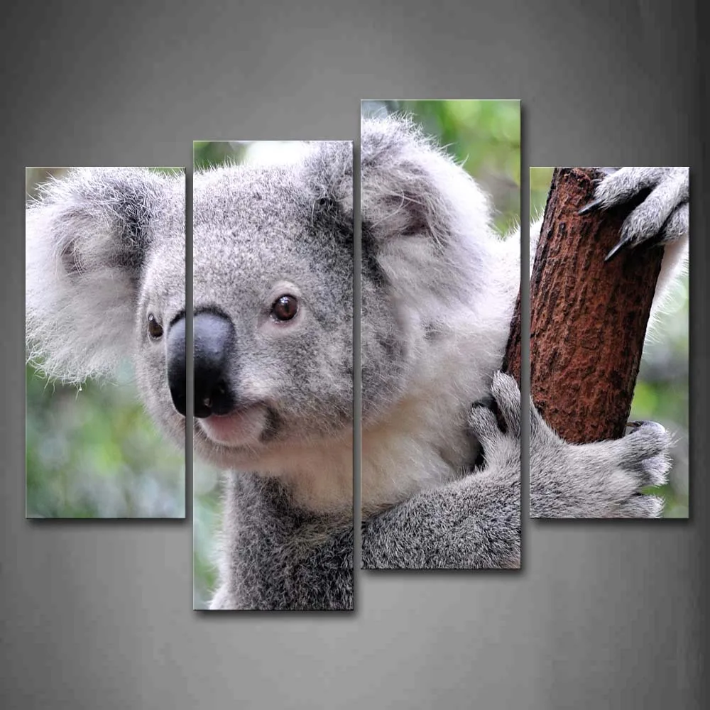 Framed Wall Art Pictures Koala Stick Tree Canvas Print Animal Modern Poster With Wooden Frame For Home Living Room Decor
Framed Wall Art Pictures Koala Stick Tree Canvas Print Animal Modern Poster With Wooden Frame For Home Living Room Decor