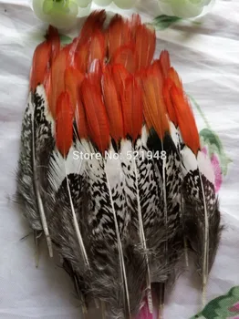 Wholesale Natural Golden pheasant Tail Feather 200pcs/lot 5-10CM, 2-4 inches Free Shipping Plumage DIY Decoration
Wholesale Natural Golden pheasant Tail Feather 200pcs/lot 5-10CM, 2-4 inches Free Shipping Plumage DIY Decoration