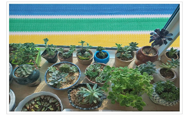 O1CN01CtMc3F23G0sAMsacT_!!2095237227