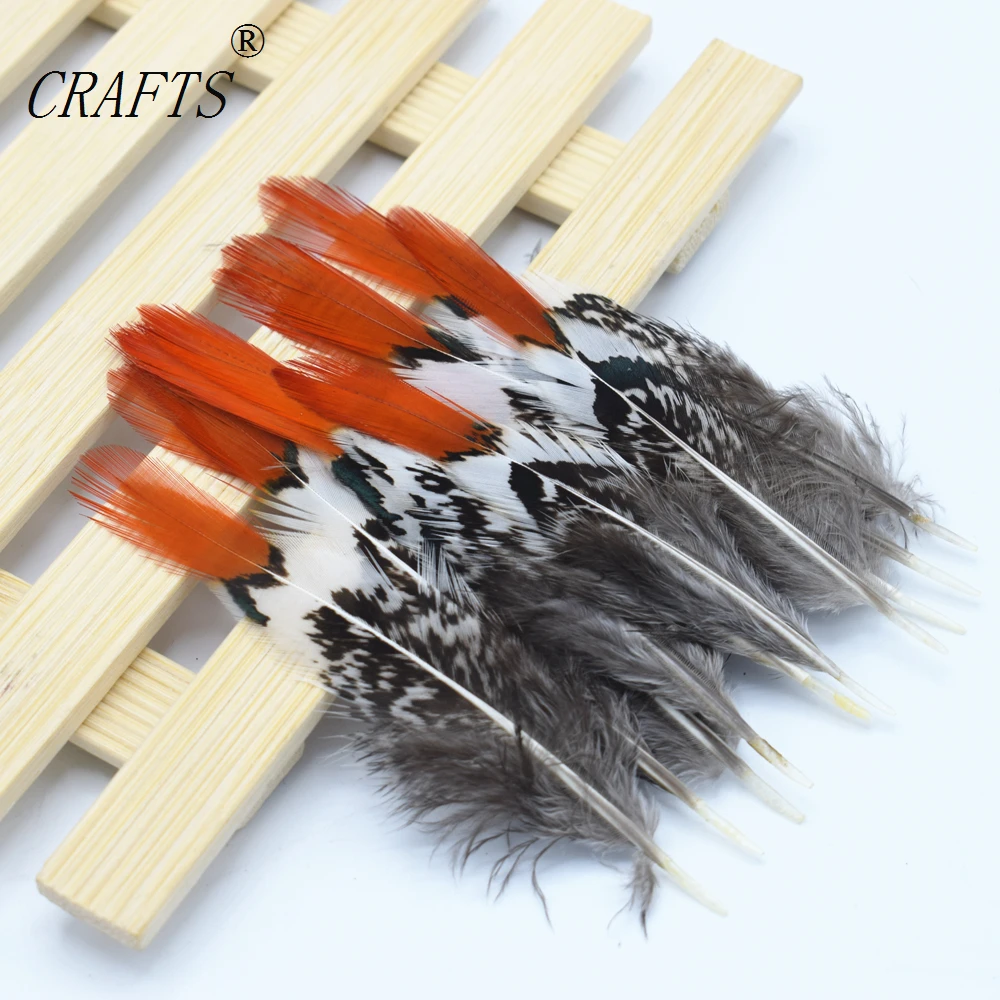 10 pcs quality natural Lady Amherst Pheasant feathers, 4-6inches / 10-15cm DIY decorative handicrafts accessories
10 pcs quality natural Lady Amherst Pheasant feathers, 4-6inches / 10-15cm DIY decorative handicrafts accessories