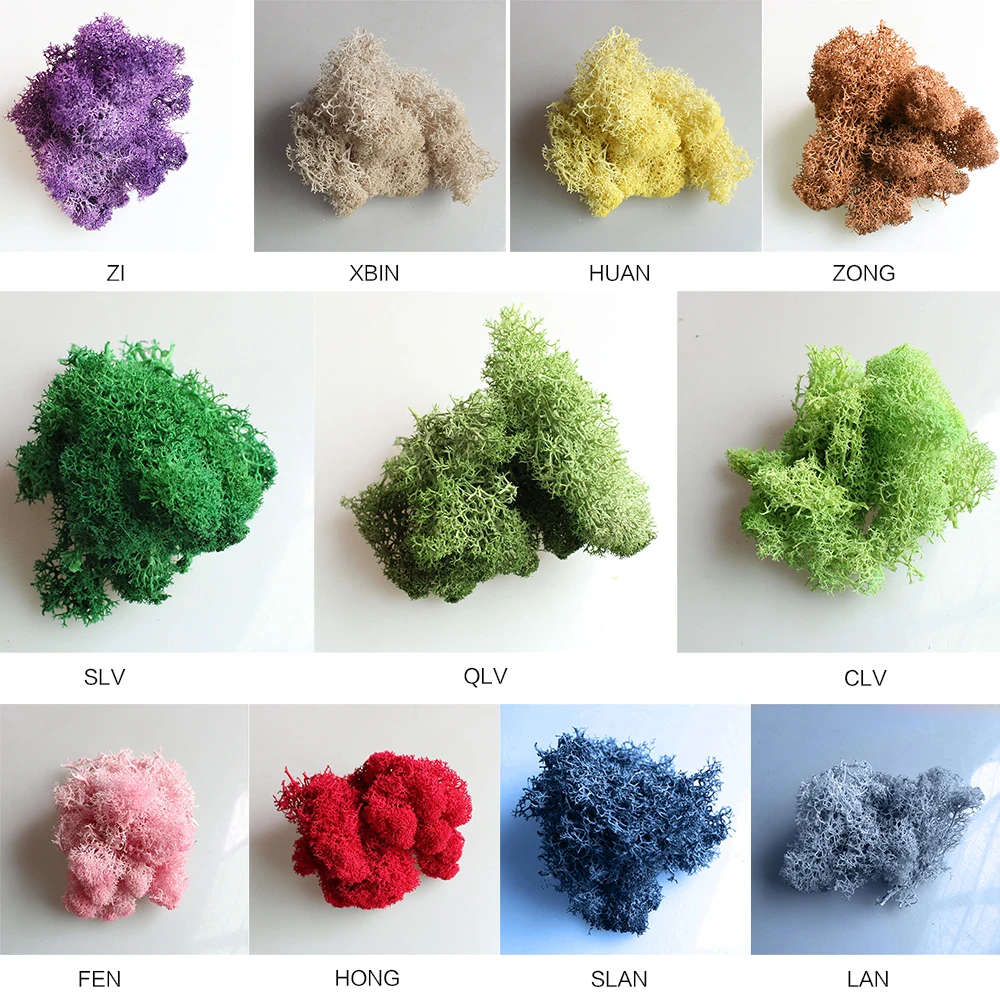 Living room decorations 100G natural Norwegian reindeer moss preserved dry crafts flower decoration
Living room decorations 100G natural Norwegian reindeer moss preserved dry crafts flower decoration