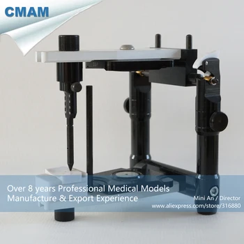 DH/13209, Average Adjustable Arti, Articulator, Educational Teaching Anatomical Models
DH/13209, Average Adjustable Arti, Articulator, Educational Teaching Anatomical Models