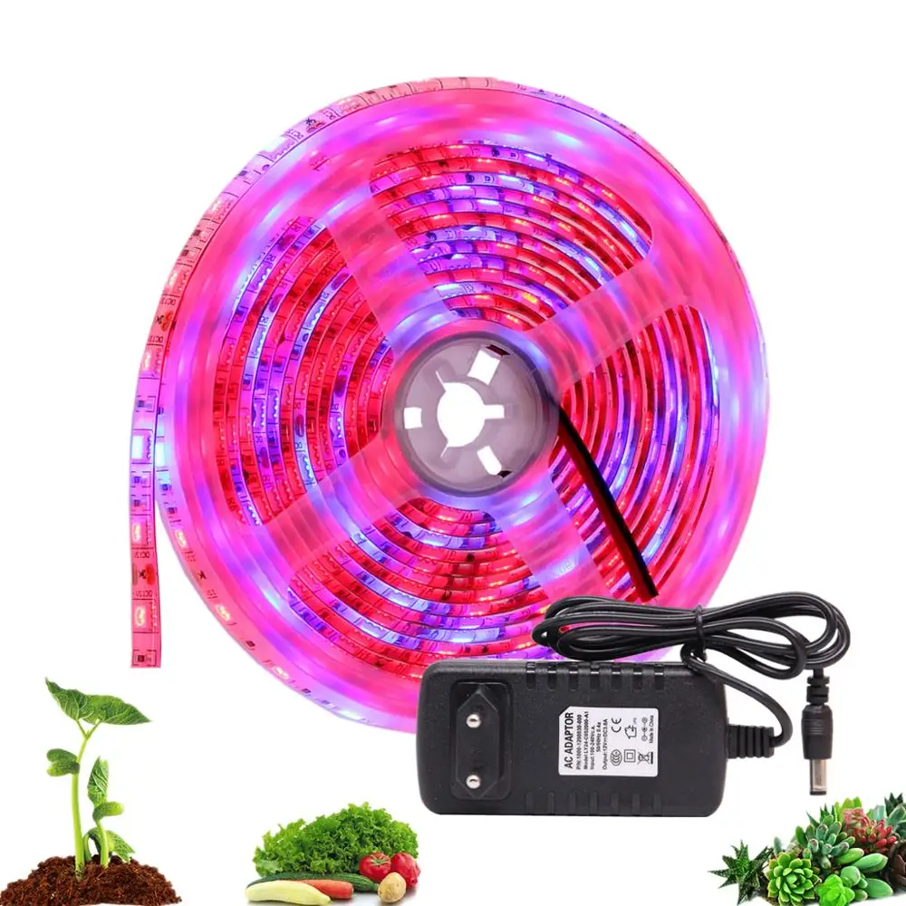 DC 12V LED Grow light 5M LED Strip light Flexible Tape 5050 LED Phyto Plant Growth lamps For Greenhouse Hydroponic Plant Growing
DC 12V LED Grow light 5M LED Strip light Flexible Tape 5050 LED Phyto Plant Growth lamps For Greenhouse Hydroponic Plant Growing