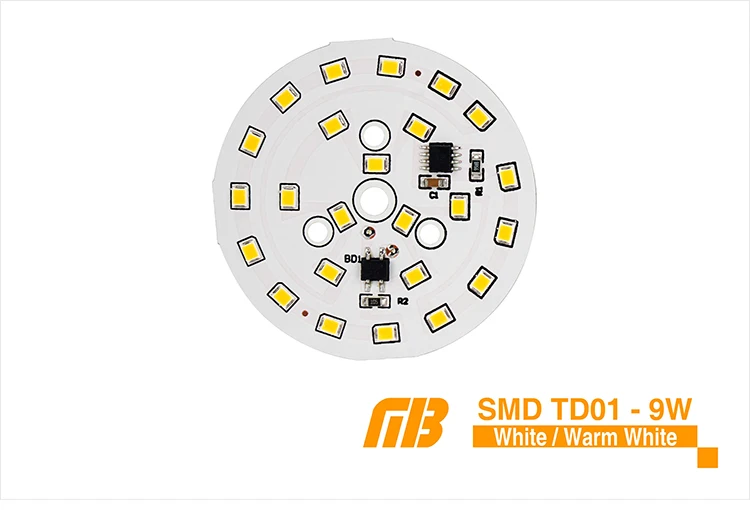 LED Down Light_TD-01 Chip_05