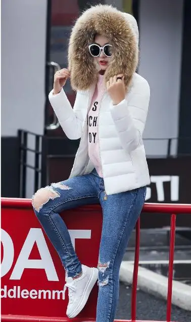 QQ20181016120756