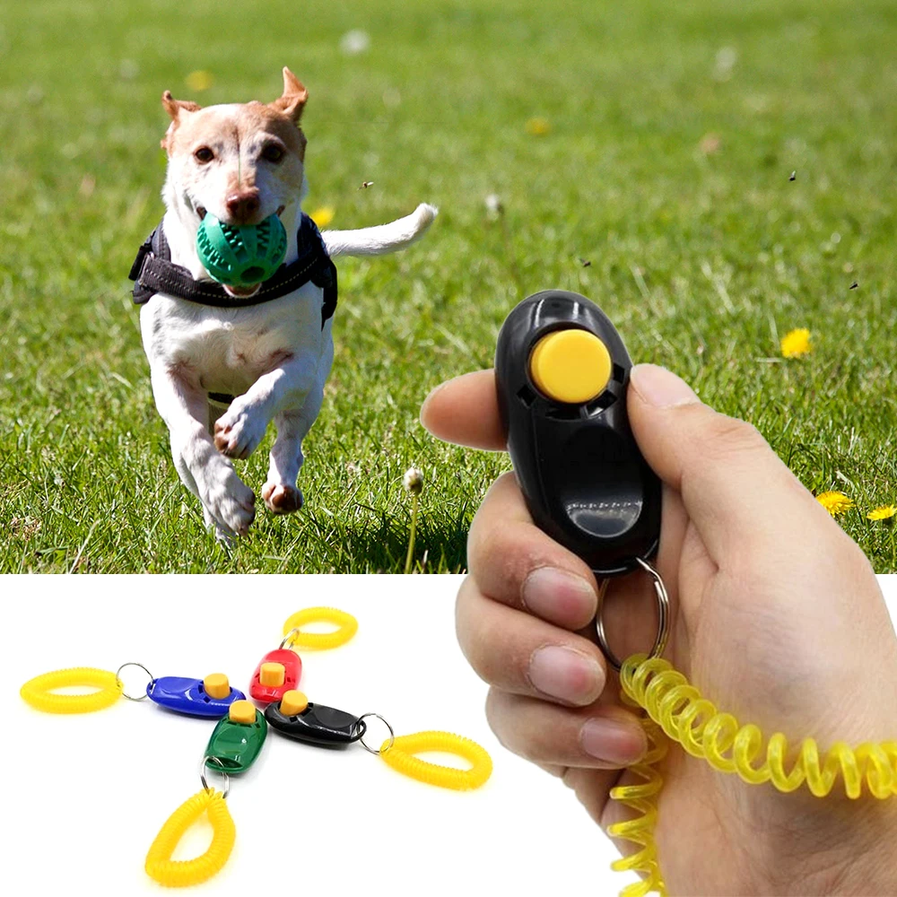 1 pc Pet Cat Dog Training Clicker Plastic New Dogs Trainer Aid Too Adjustable Wrist Strap Sound Key Chain
1 pc Pet Cat Dog Training Clicker Plastic New Dogs Trainer Aid Too Adjustable Wrist Strap Sound Key Chain
