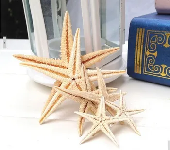 20pieces 6-9cm BIG Natural Starfish Wishing Sea Star Home Decoration Wall Stickers Adornment Organic Material DIY favors
20pieces 6-9cm BIG Natural Starfish Wishing Sea Star Home Decoration Wall Stickers Adornment Organic Material DIY favors