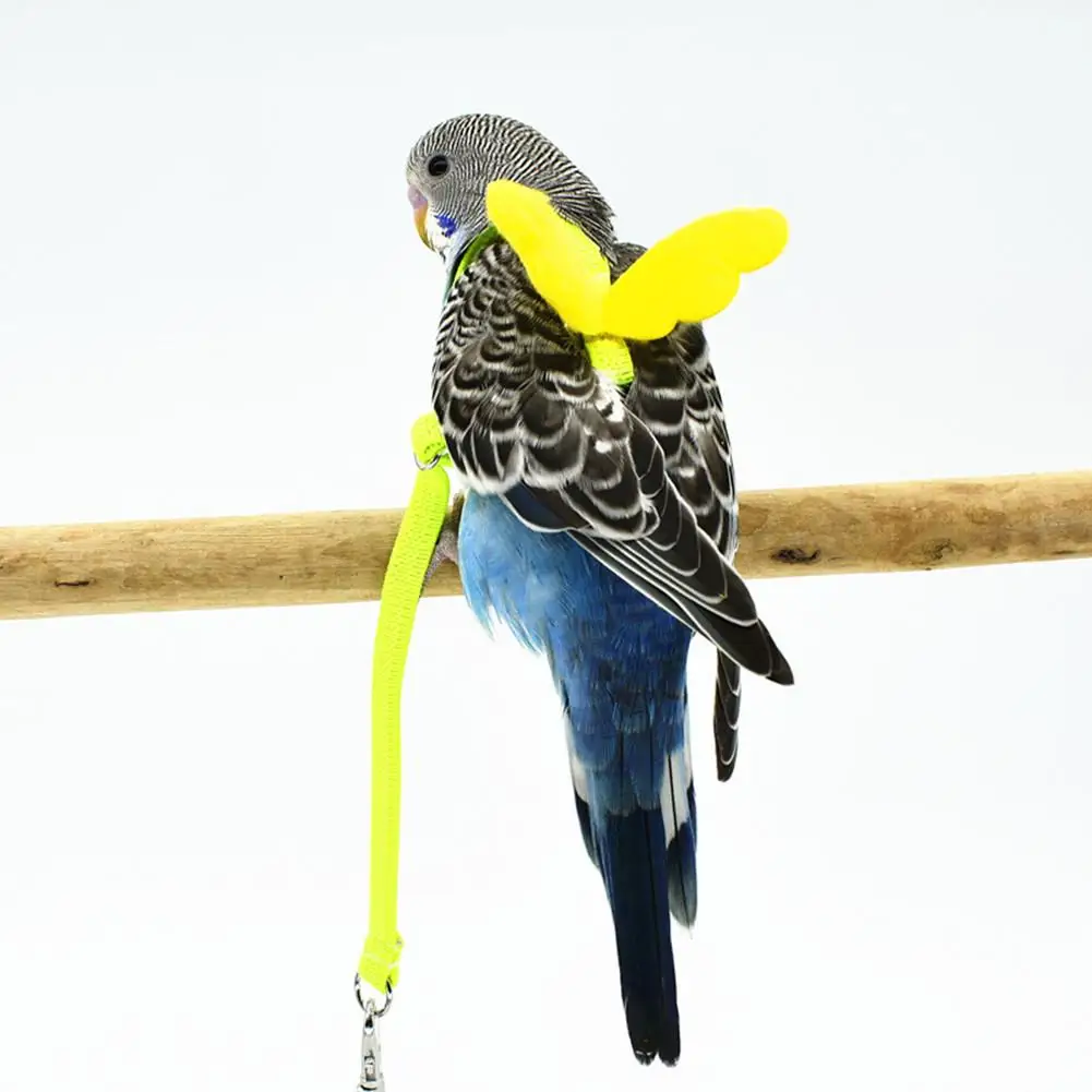 1 Pcs Pet Parrot Bird Harness And Leash Multi-colors Durable Flying Rope Straps Outdoor Training Traction Rope For Budgerigar
1 Pcs Pet Parrot Bird Harness And Leash Multi-colors Durable Flying Rope Straps Outdoor Training Traction Rope For Budgerigar