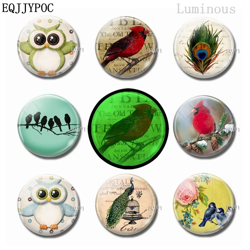 Bird Fridge Magnet Glass Ornaments Peacock 25 MM Luminous Stickers Magnetic Crystal Refrigerator Magnets Set Owl Home Decor
Bird Fridge Magnet Glass Ornaments Peacock 25 MM Luminous Stickers Magnetic Crystal Refrigerator Magnets Set Owl Home Decor