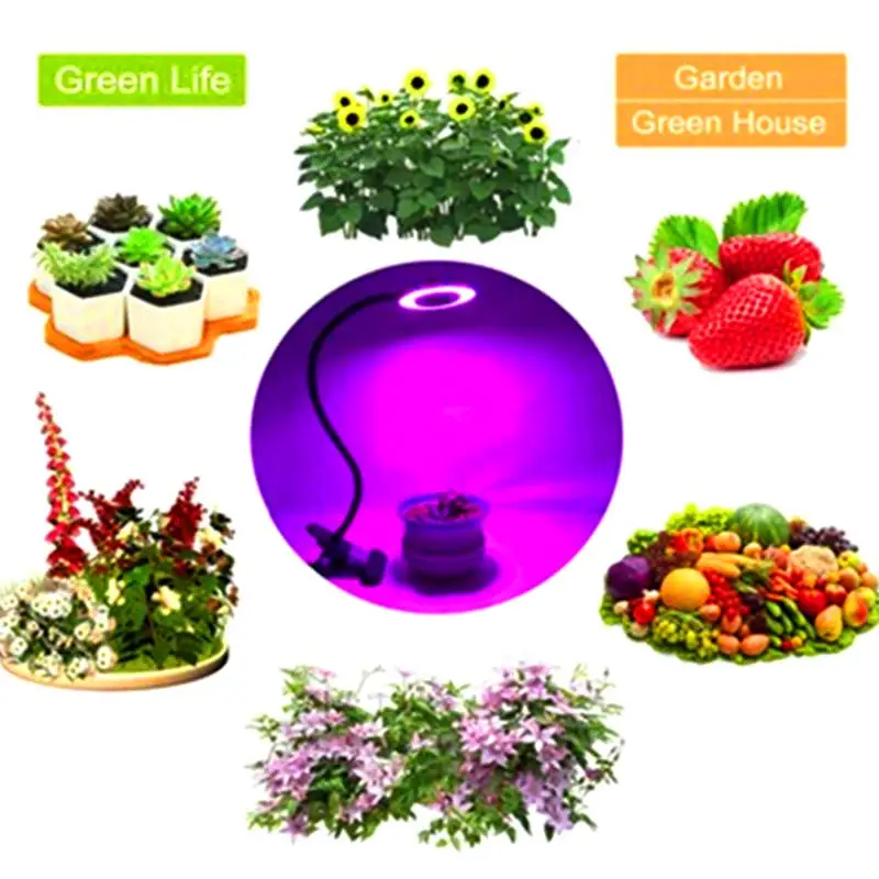 N 10W Led Grow Light With Clip Flexible Indoor Plants Flower Vegetable Growing Dimmable Lamp For Office Home Greenhouse
N 10W Led Grow Light With Clip Flexible Indoor Plants Flower Vegetable Growing Dimmable Lamp For Office Home Greenhouse