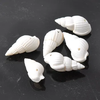 30pcs/lot white Natural Spiral Shell Loose Beads for jewelry making DIY sea conch
30pcs/lot white Natural Spiral Shell Loose Beads for jewelry making DIY sea conch