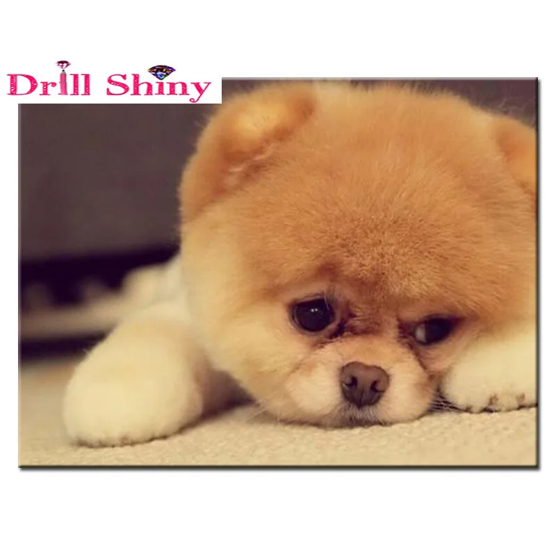 Diamond embroidery full square Animal Diamond mosaic full gear 5D Diamond mosaic set mosaic kits
Diamond embroidery full square Animal Diamond mosaic full gear 5D Diamond mosaic set mosaic kits