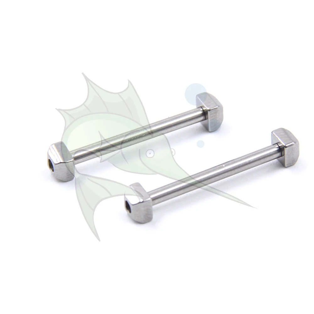 2pcs/bag Stainless Steel Watch Band Link Rod Watch Strap Screw Bar Replacement Spring Bar for Cartier PASHA Series Watches
2pcs/bag Stainless Steel Watch Band Link Rod Watch Strap Screw Bar Replacement Spring Bar for Cartier PASHA Series Watches