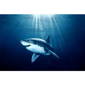 Full Round Diamond Painting Shark 5d Diy Diamond Embroidery Ocean Animals Picture Of Rhinestones Diamond Mosaic Paintings Pj603
Full Round Diamond Painting Shark 5d Diy Diamond Embroidery Ocean Animals Picture Of Rhinestones Diamond Mosaic Paintings Pj603