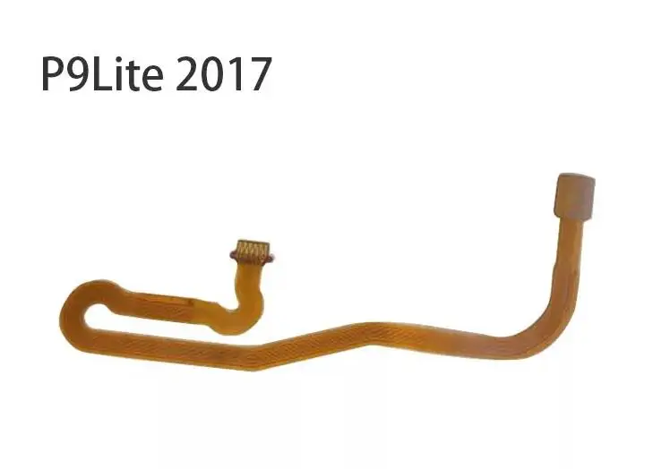 p9lite