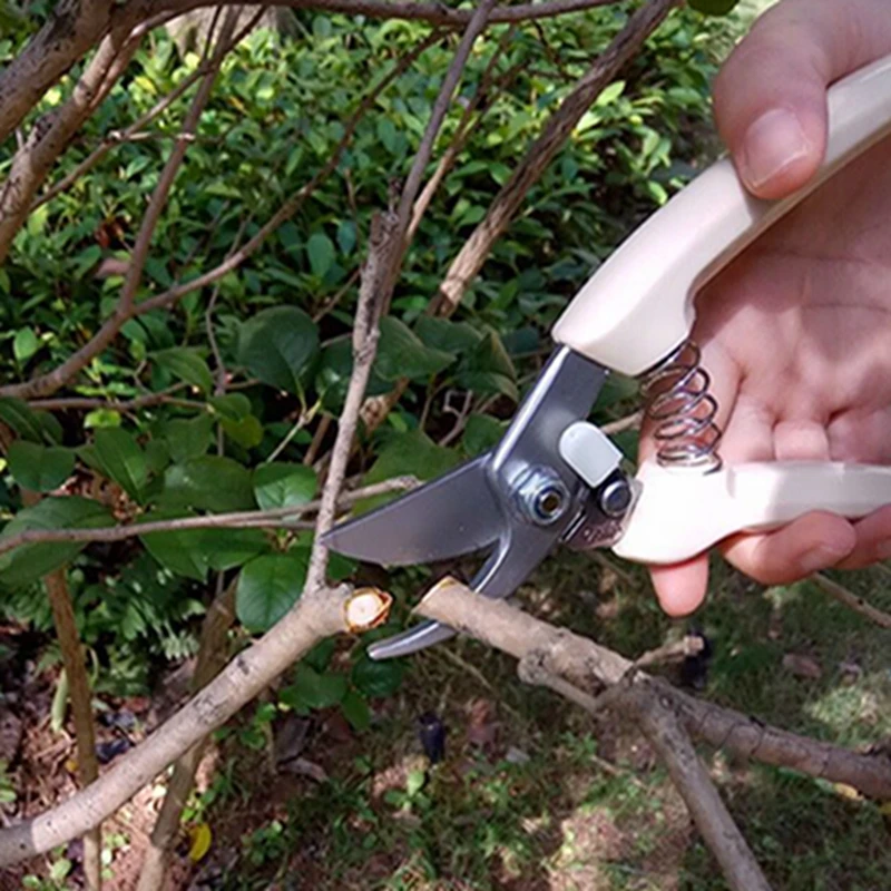 SK5 Manganese Steel Pruners Garden Shears Garden Scissors Double-edged Large-caliber Pruning Shears Fruit Tree Branches Garden Tools (6)