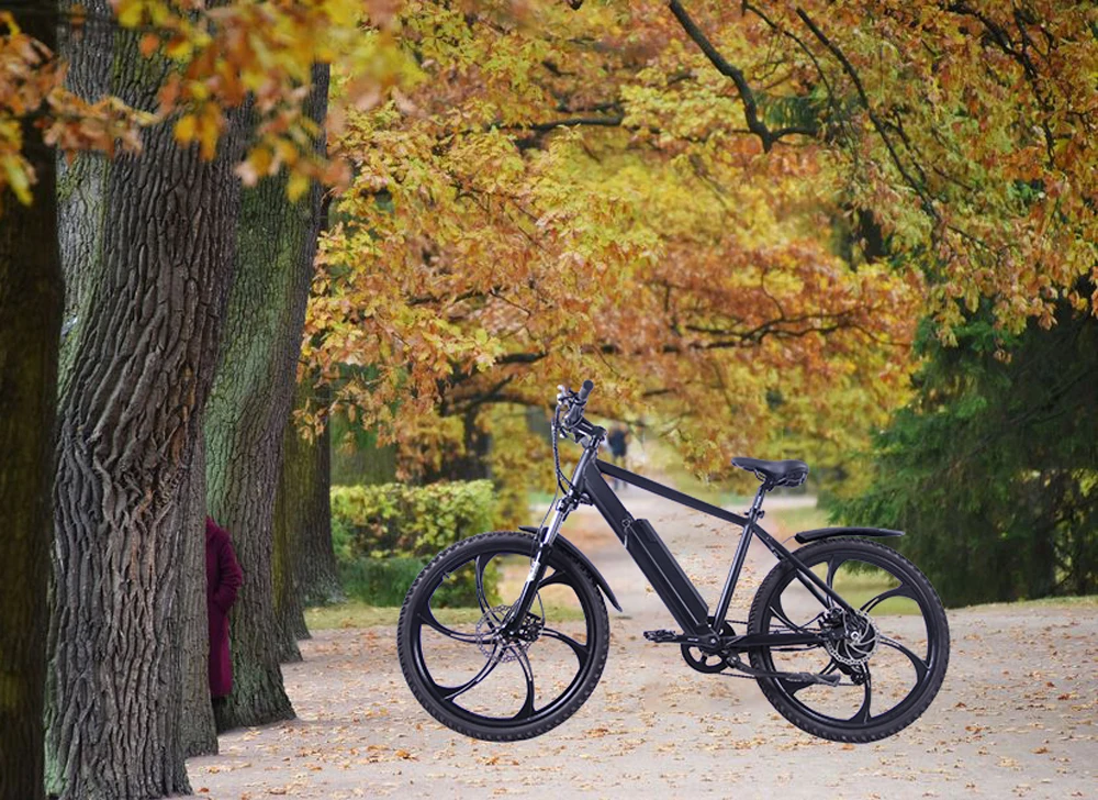 Excellent EZBIKE 24 speed Mountain Bike Electric Bicycle 36V 500W 10.4Ah 26X4.0 Electric Vehicle 48 Pay 500 Watt Motor ebike 7