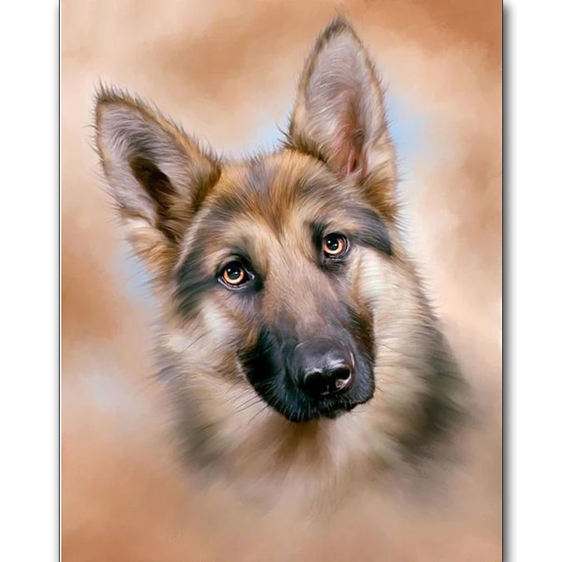 New 5D DIY Diamond embroidery Cross stitch Cute dog Full Square/Round Diamond mosaic Diamond painting decoration
New 5D DIY Diamond embroidery Cross stitch Cute dog Full Square/Round Diamond mosaic Diamond painting decoration