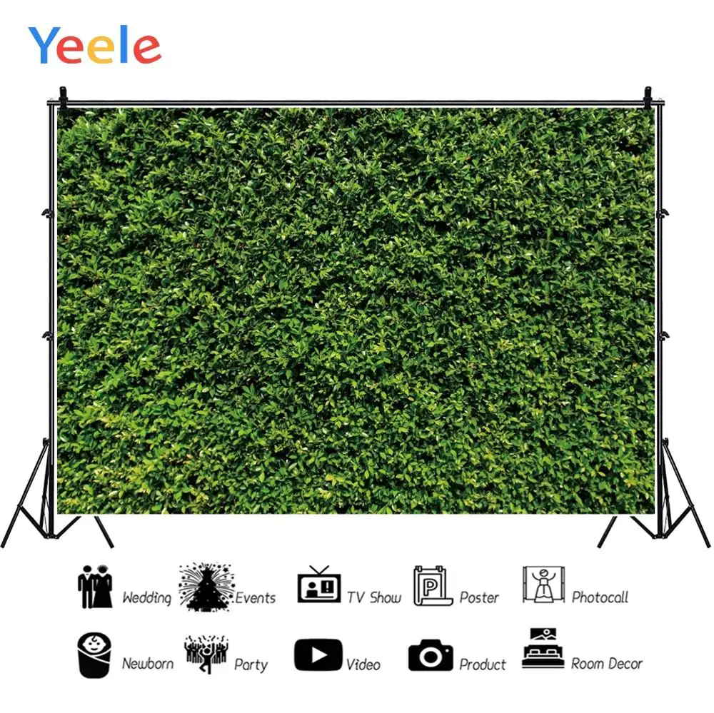 Yeele Grass Foliage Green Screen Chroma Key Scene Personalized Photographic Backdrops Photography Backgrounds For Photo Studio
Yeele Grass Foliage Green Screen Chroma Key Scene Personalized Photographic Backdrops Photography Backgrounds For Photo Studio