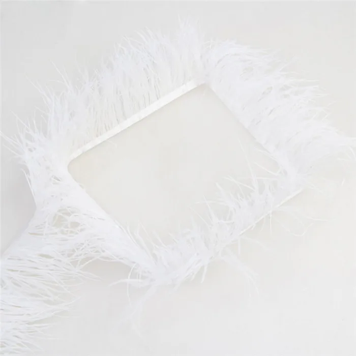 00 ostrich feather trim 3