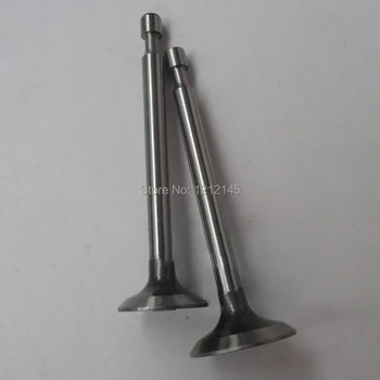 EY20 167F Engine Intake Exhaust Valve For RGX2400 Robin Generator Parts Accessory
EY20 167F Engine Intake Exhaust Valve For RGX2400 Robin Generator Parts Accessory