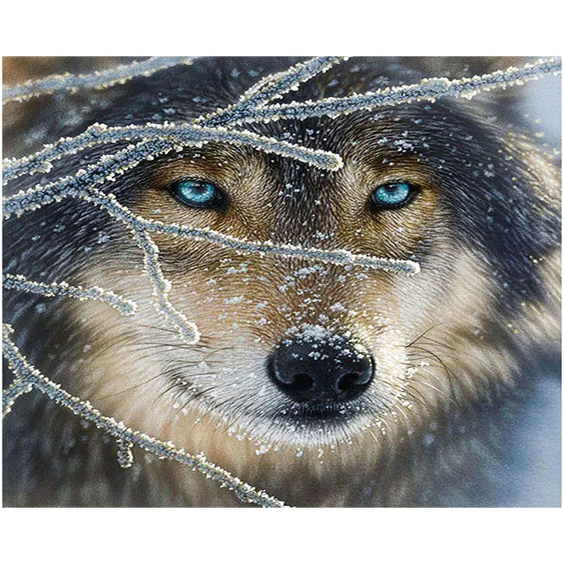 Painting By Numbers DIY Dropshipping 40x50 50x65cm Plain frost snow wolf head Animal Canvas Wedding Decoration Art picture Gift
Painting By Numbers DIY Dropshipping 40x50 50x65cm Plain frost snow wolf head Animal Canvas Wedding Decoration Art picture Gift
