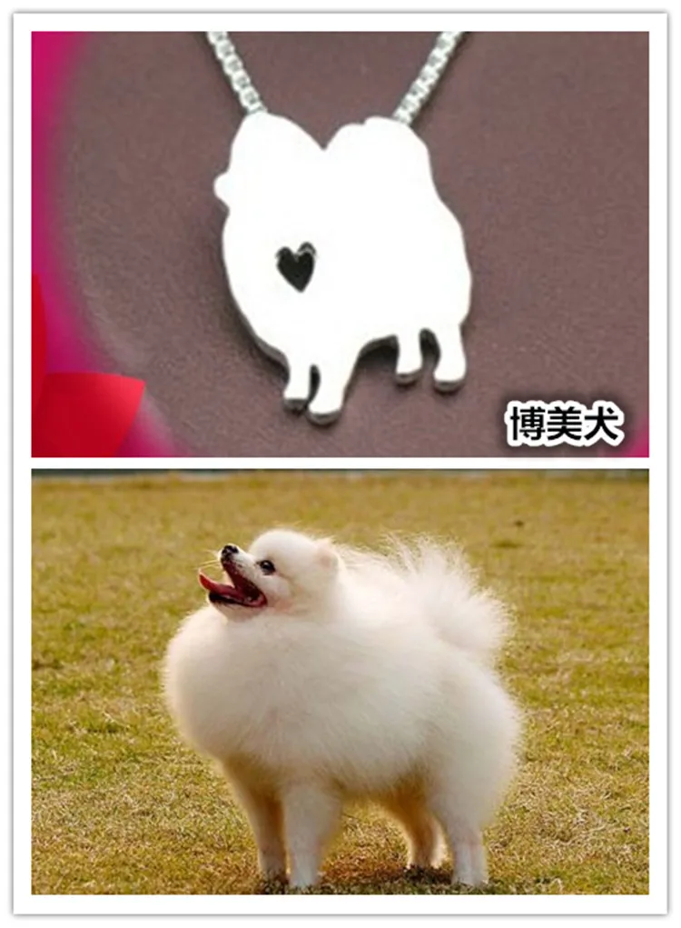 Explosion Models Ladies Necklace Pomeranian Dog Smooth Pendant Personality Creative Pendant Jewelry
Explosion Models Ladies Necklace Pomeranian Dog Smooth Pendant Personality Creative Pendant Jewelry