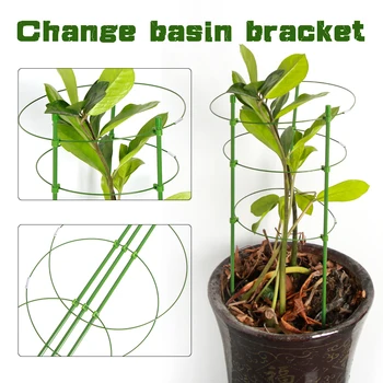 1 Durable Creative Vine Climbing Rack 60cm Flower Decorative Gardening Tools Vegetables Plant Trellis Plant Support Frame
1 Durable Creative Vine Climbing Rack 60cm Flower Decorative Gardening Tools Vegetables Plant Trellis Plant Support Frame