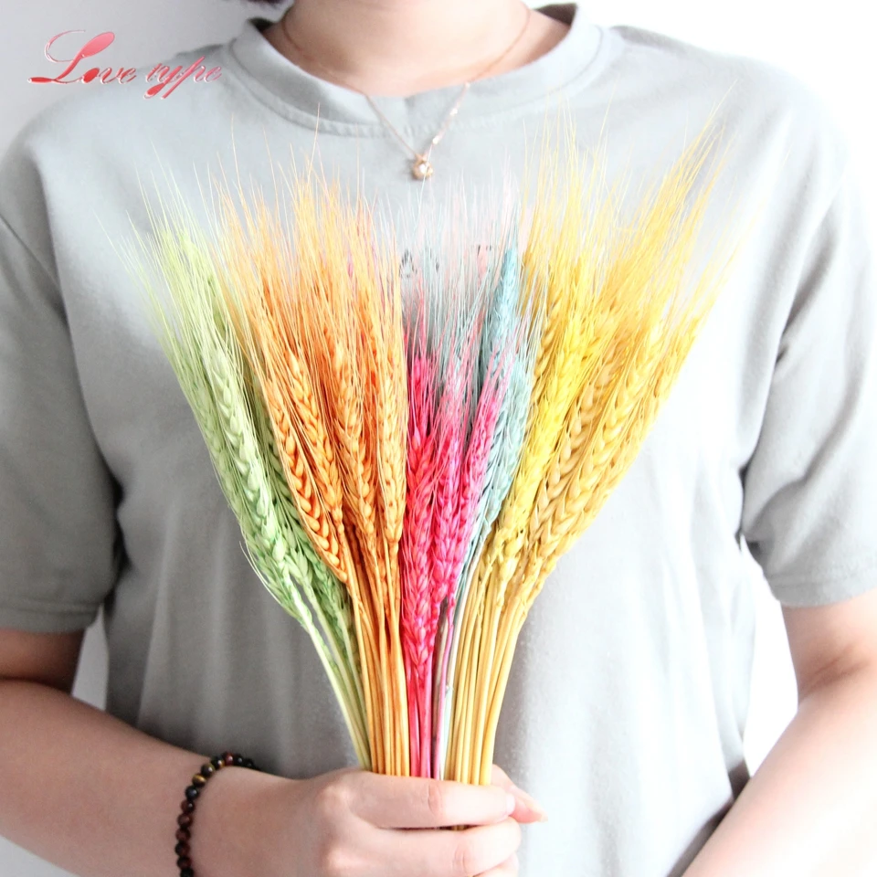 20PCS Artificial Autumn Wheat Flower Bouquet Home Vase Decor Wedding Party Decoration DIY Scrapbooking Supplies Fake Flowers
20PCS Artificial Autumn Wheat Flower Bouquet Home Vase Decor Wedding Party Decoration DIY Scrapbooking Supplies Fake Flowers