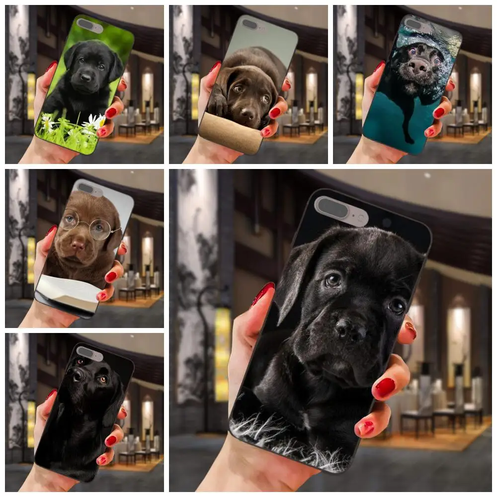 Soft Pattern Case Cover For Huawei Honor Enjoy Mate Note 6s 8 9 10 20 P20 P30 Lite Play Pro P smart Black Labrador Puppies Dog
Soft Pattern Case Cover For Huawei Honor Enjoy Mate Note 6s 8 9 10 20 P20 P30 Lite Play Pro P smart Black Labrador Puppies Dog