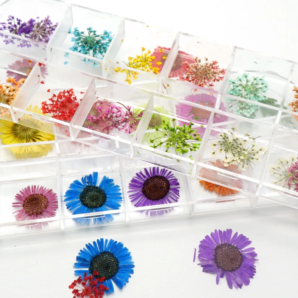 Mixed Natural Dried Flowers Nails 3D Pressed Blossom Real Preserved Floral Dried Flowers Sticker Nail Art Decorations
Mixed Natural Dried Flowers Nails 3D Pressed Blossom Real Preserved Floral Dried Flowers Sticker Nail Art Decorations
