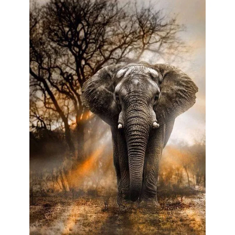 100% Full 5D Diy Daimond Painting Animal 3D Diamond Round Rhinestones Diamant Embroidery Elephant
100% Full 5D Diy Daimond Painting Animal 3D Diamond Round Rhinestones Diamant Embroidery Elephant