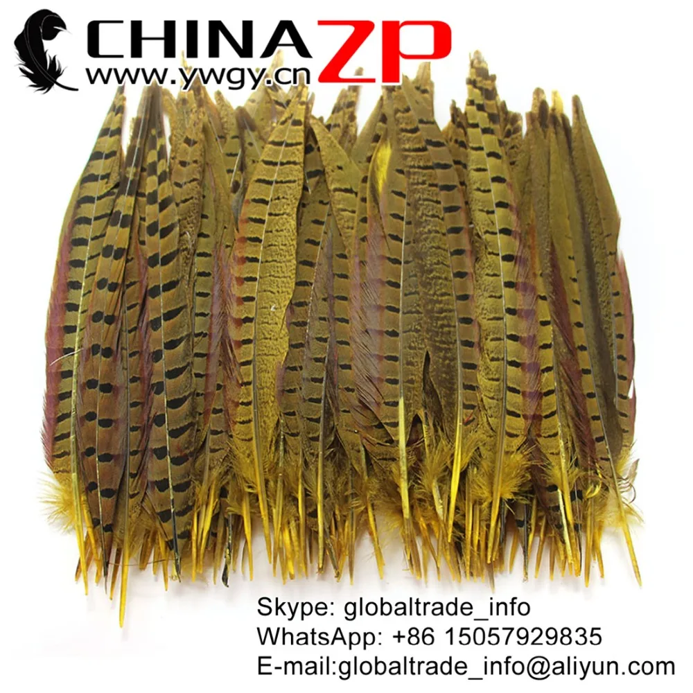CHINAZP Factory 100pcs/lot 25-30cm(10-12inch) Length Top Quality Dyed Yellow Ringneck Pheasant Tail Feathers
CHINAZP Factory 100pcs/lot 25-30cm(10-12inch) Length Top Quality Dyed Yellow Ringneck Pheasant Tail Feathers