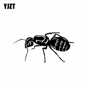 YJZT 13CM*6.6CM Cartoon Ant Insect Vinyl Artistic Decal Car Sticker Black/Silver C19-0464
YJZT 13CM*6.6CM Cartoon Ant Insect Vinyl Artistic Decal Car Sticker Black/Silver C19-0464