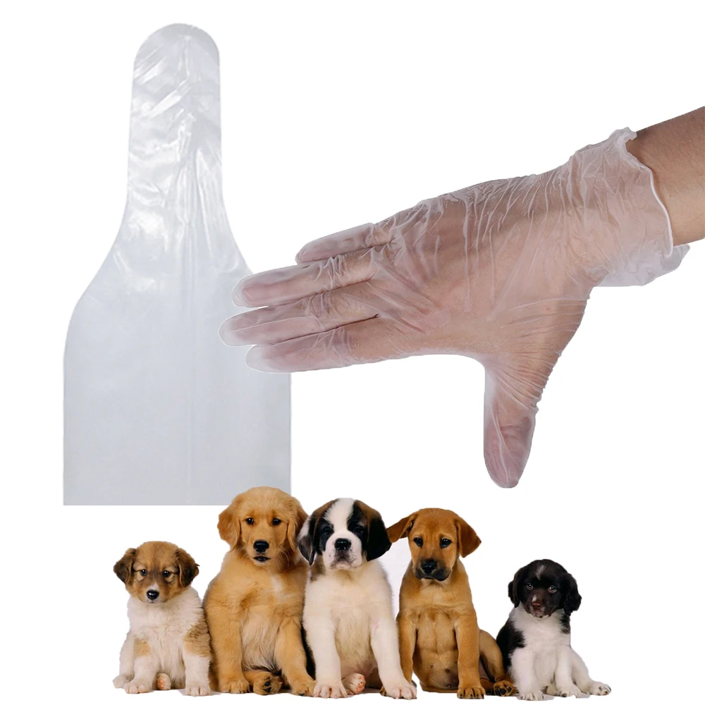 1set Pet dog canine latex no powder gloves and semen sperm collect collection bags artificial insemination device disposable
1set Pet dog canine latex no powder gloves and semen sperm collect collection bags artificial insemination device disposable