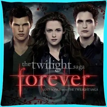 Custom Square Pillowcase New arrived twilight Pillow Case Zippered Free Shipping MORE SIZE SQ00615-H02
Custom Square Pillowcase New arrived twilight Pillow Case Zippered Free Shipping MORE SIZE SQ00615-H02