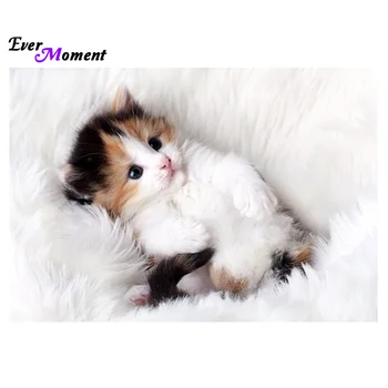 new arrive needlework diy diamond painting pasted painting square drill fashion home decoration lovely cat free shipping ASF017
new arrive needlework diy diamond painting pasted painting square drill fashion home decoration lovely cat free shipping ASF017